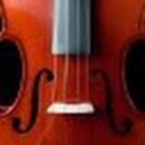 Meet your Posher, Noah - Picture 1 of 1